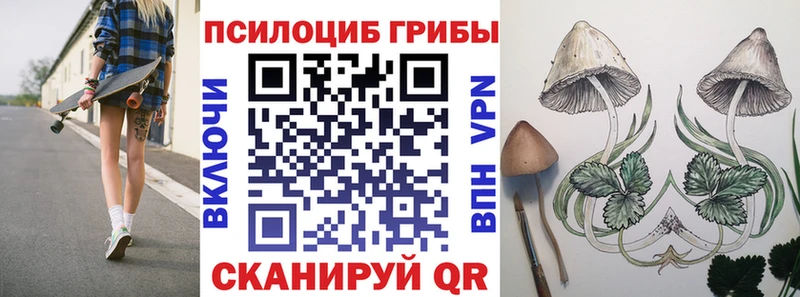 Псилоцибиновые грибы GOLDEN TEACHER  Минеральные Воды 